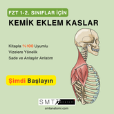 FZT 1-2'ler için Kemik-Eklem-Kas