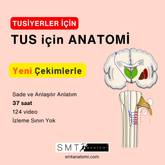 TUS için ANATOMİ