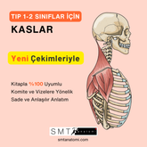 Tıp 1-2'ler İçin Kaslar