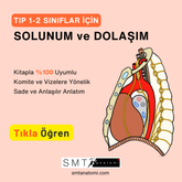 Tıp 1-2'ler için Solunum ve Dolaşım