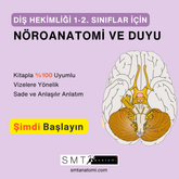 Diş Hek. 1-2'ler için Nöroanatomi ve Duyu