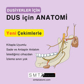 DUS için ANATOMİ