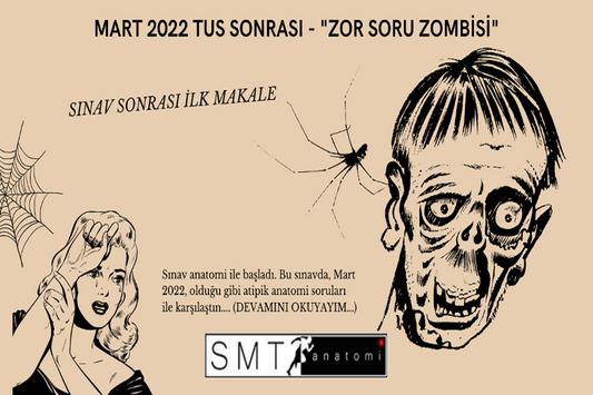 Zor Soru Zombisi