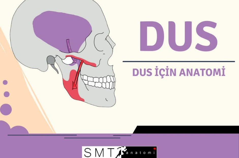 DUS Hazırlık Kursu