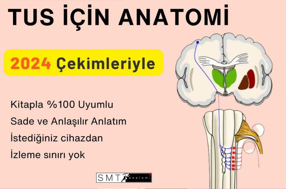 Tus Anatomi Nasıl Çalışılır?