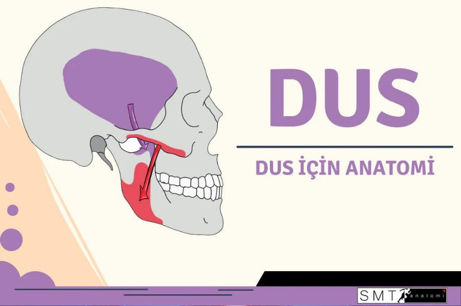 DUS Sınavı Nedir?