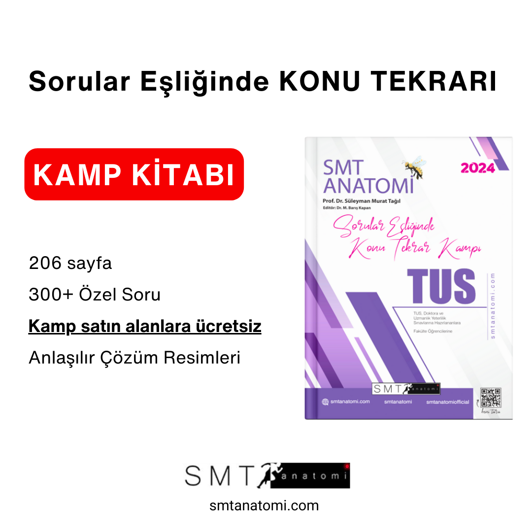 Sorularla Tekrar Konu Kitabı - E-kitap