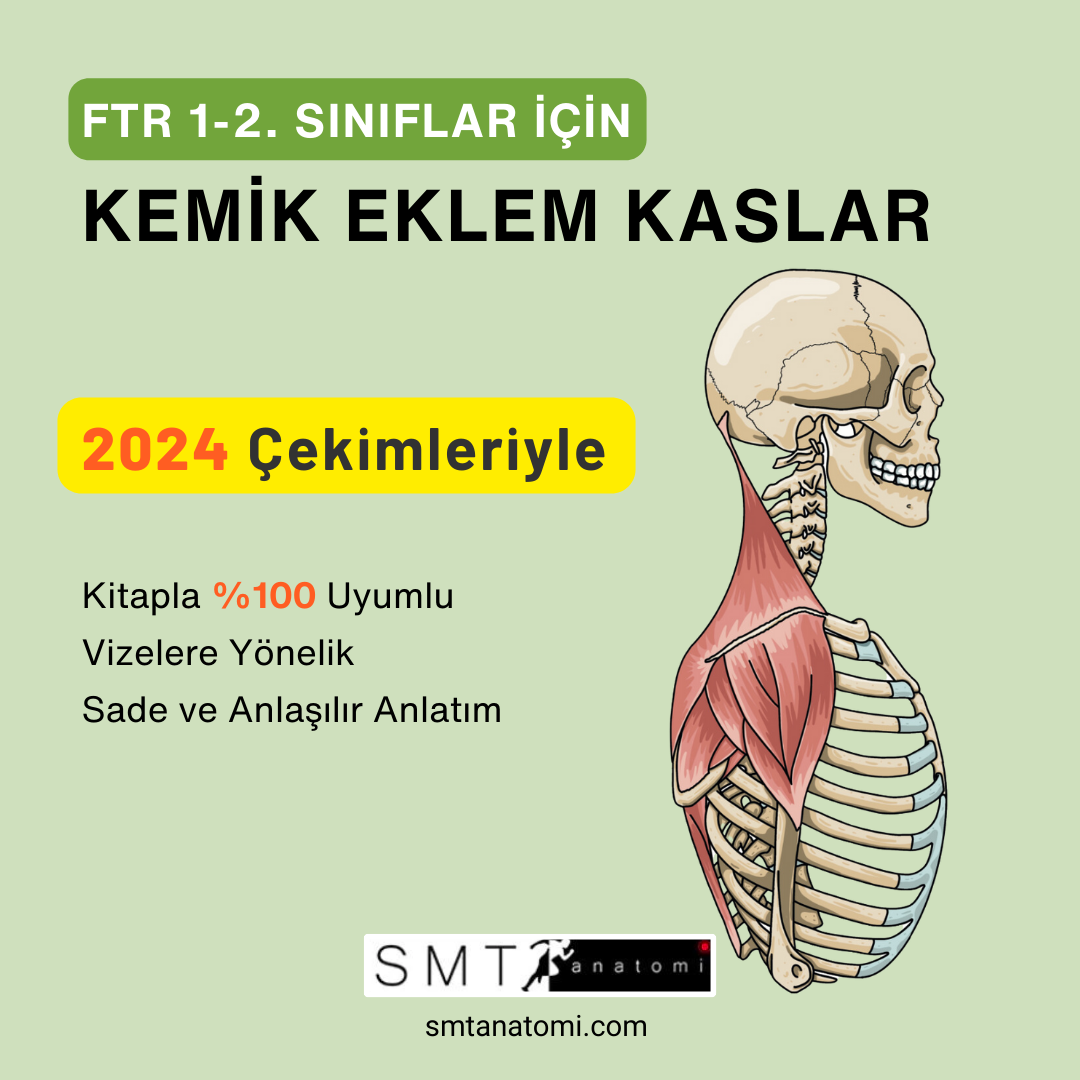 FTR 1-2'ler için Kemik-Eklem-Kas 2024