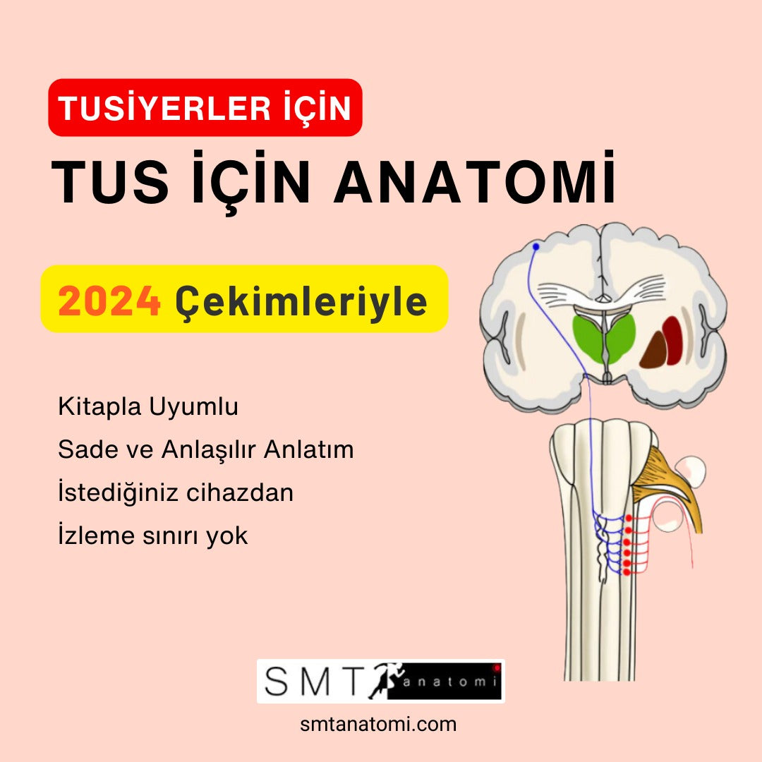 TUS için ANATOMİ (2024)