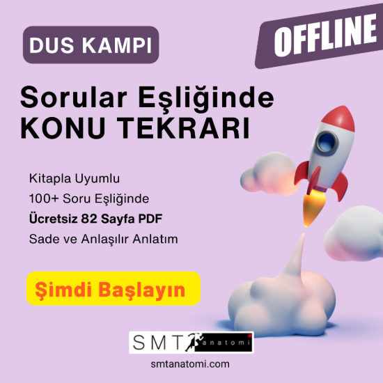 DUS Anatomi Soru Kampı resmi