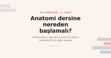Tıp Fakültesinde Anatomi Dersi: 1. Sınıf İçin Rehber