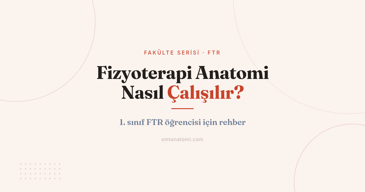 Fizyoterapi Anatomi Nasıl Çalışılır? 1. Sınıf FTR Öğrencisi İçin Rehber