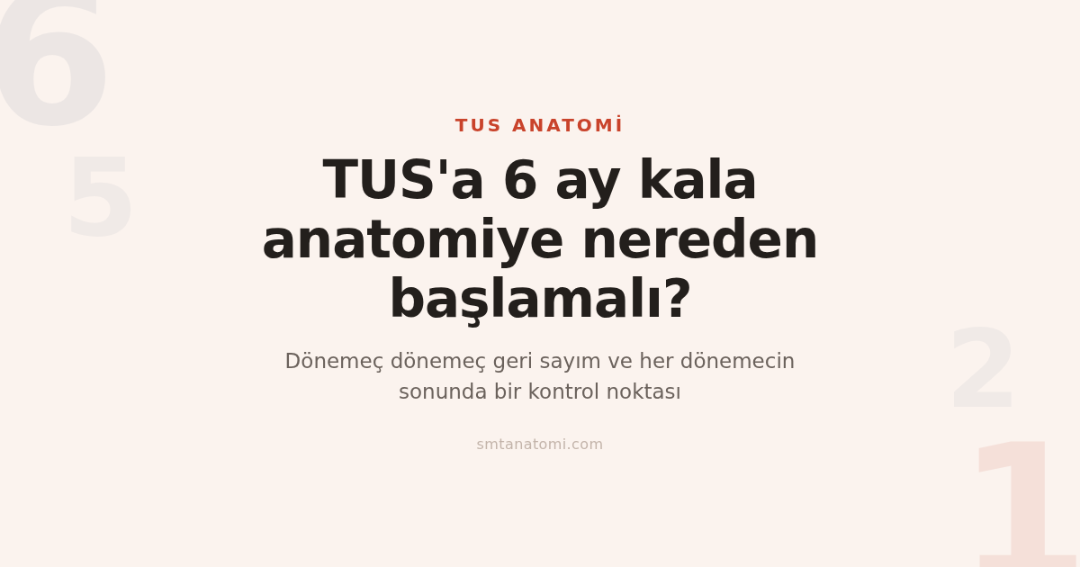 TUS'a 6 Ay Kala Anatomi Planı: Dönemeç Dönemeç Geri Sayım