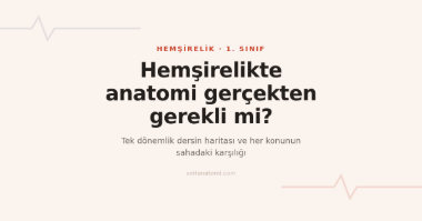Hemşirelikte Anatomi Dersi: Sahada Karşılığıyla Çalışma Rehberi