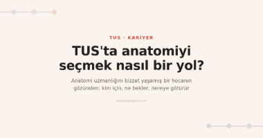 TUS'ta Anatomi Uzmanlığı: Taban Puanının Ötesinde Nasıl Bir Yol?
