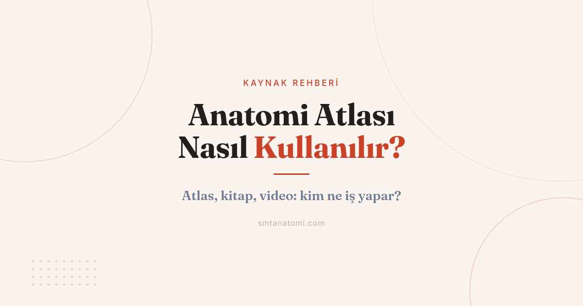 Anatomi Atlası Nasıl Kullanılır? Netter mi Sobotta mı ve Atlas-Kitap-Video İş Bölümü