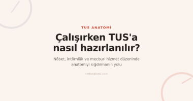 Çalışırken TUS'a Hazırlanmak: İntörnlük, Asistanlık ve Mecburi Hizmette Anatomi Düzeni