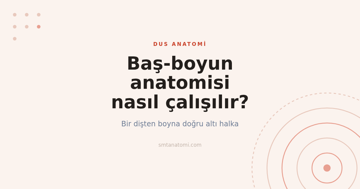 Baş-Boyun Anatomisi Nasıl Çalışılır? Bir Dişten Boyna Altı Halka