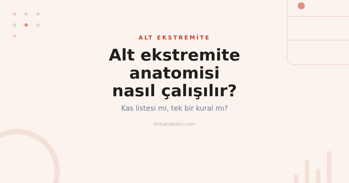 Alt Ekstremite Anatomisi Nasıl Çalışılır? Bir Kompartman, Bir Sinir Kuralı