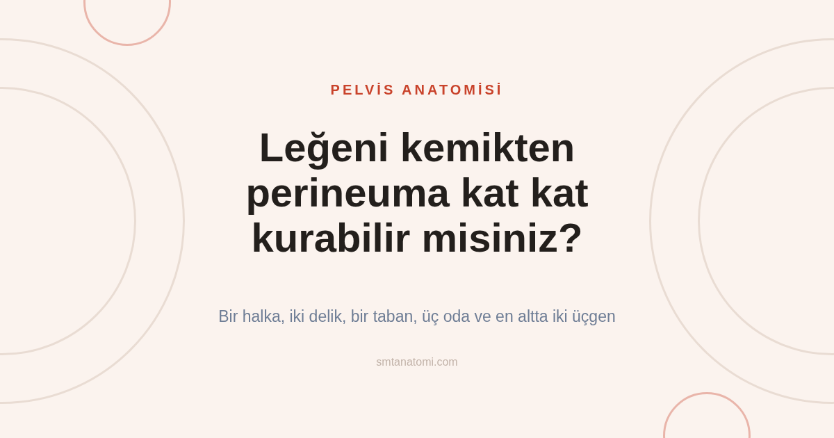 Pelvis Anatomisi Nasıl Çalışılır? Kemik Halkadan Perineuma Kat Kat