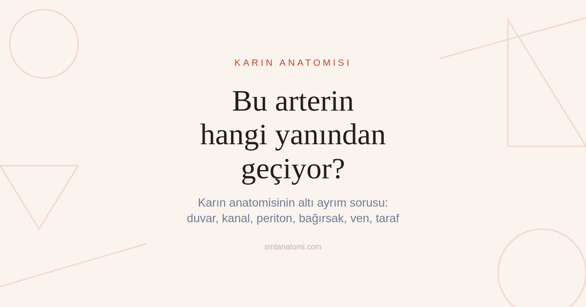 Karın Anatomisi Nasıl Çalışılır? İkisinden Hangisi: Altı Ayrım Sorusu