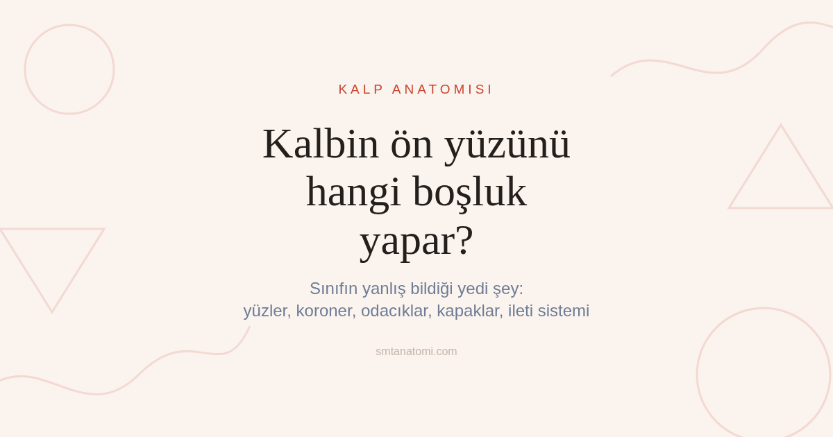 Kalp Anatomisi Nasıl Çalışılır? Sınıfın Yanlış Bildiği Yedi Şey