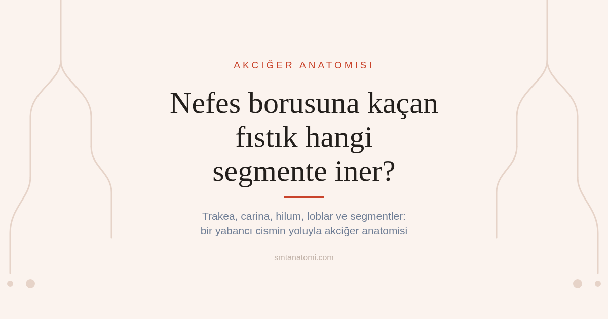 Akciğer Anatomisi Nasıl Çalışılır? Bir Fıstığın Trakeadan Segmente Yolculuğu