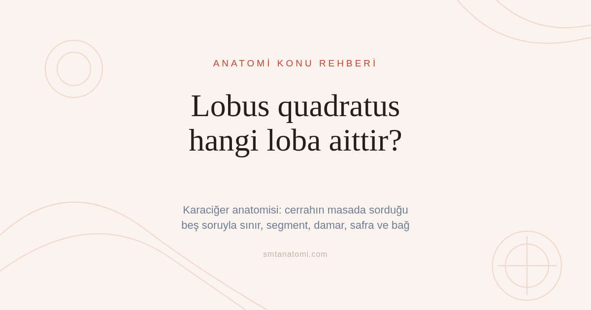 Karaciğer Anatomisi Nasıl Çalışılır? Cerrahın Masada Sorduğu Beş Soru