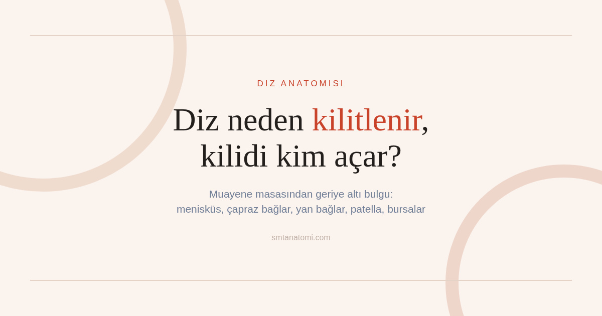 Diz Anatomisi Nasıl Çalışılır? Muayene Masasından Geriye Altı Bulgu