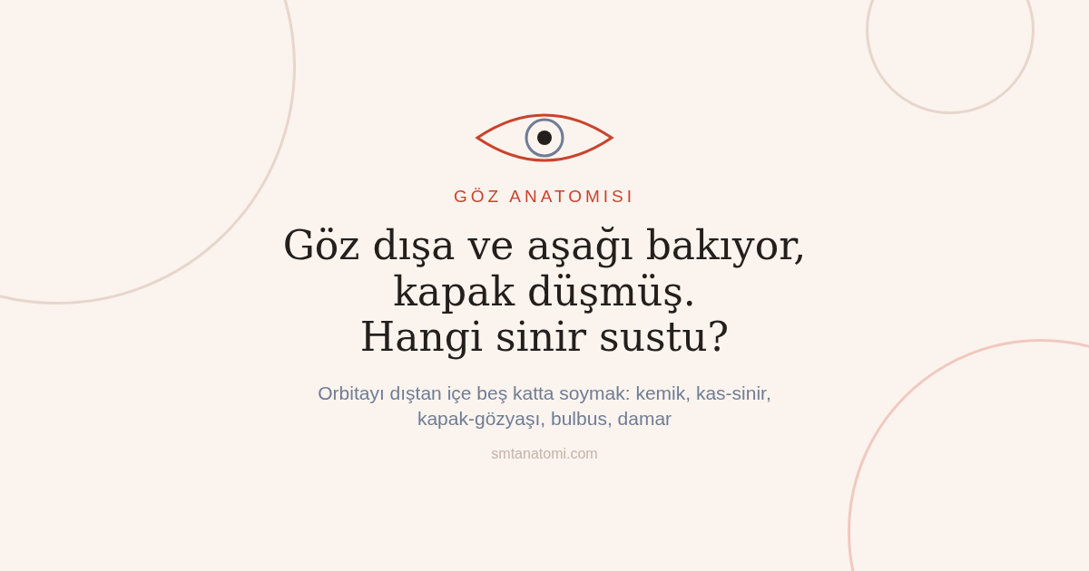 Göz Anatomisi Nasıl Çalışılır? Orbitayı Dıştan İçe Beş Katta Soymak