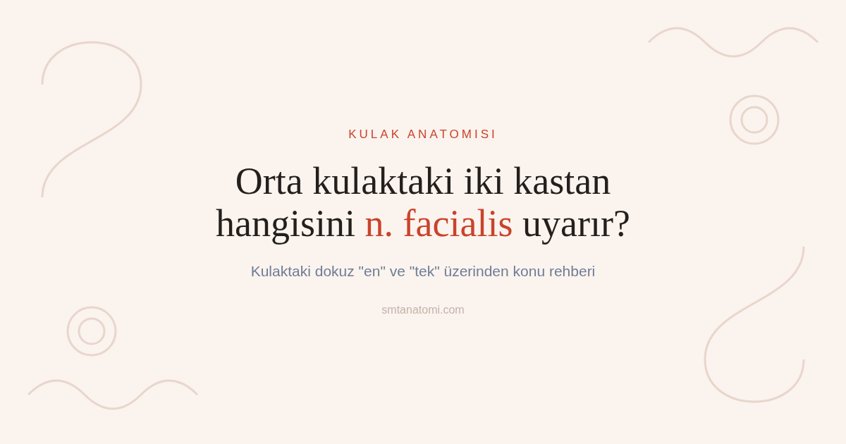 Kulak Anatomisi Nasıl Çalışılır? Kulaktaki Dokuz "En" ve "Tek"