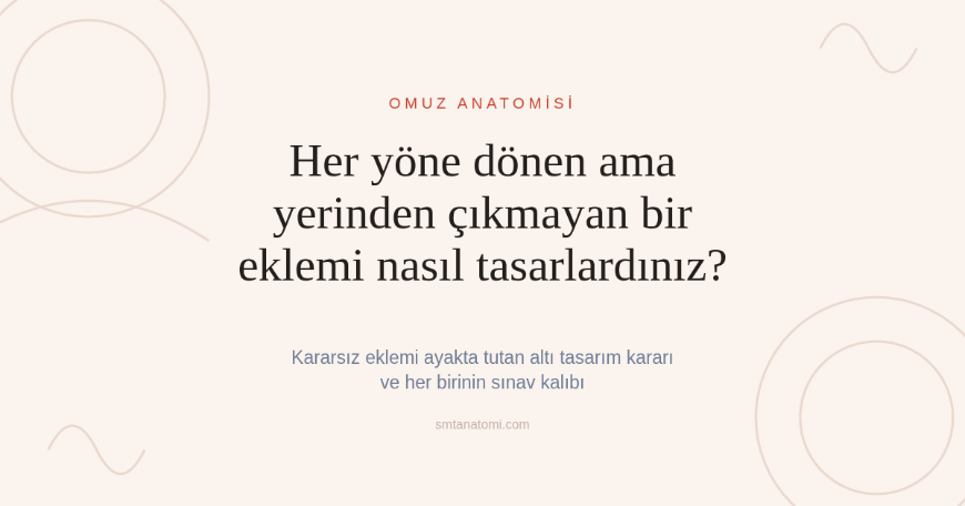Omuz Anatomisi Nasıl Çalışılır? Kararsız Eklemi Ayakta Tutan Altı Tasarım Kararı