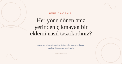 Omuz Anatomisi Nasıl Çalışılır? Kararsız Eklemi Ayakta Tutan Altı Tasarım Kararı