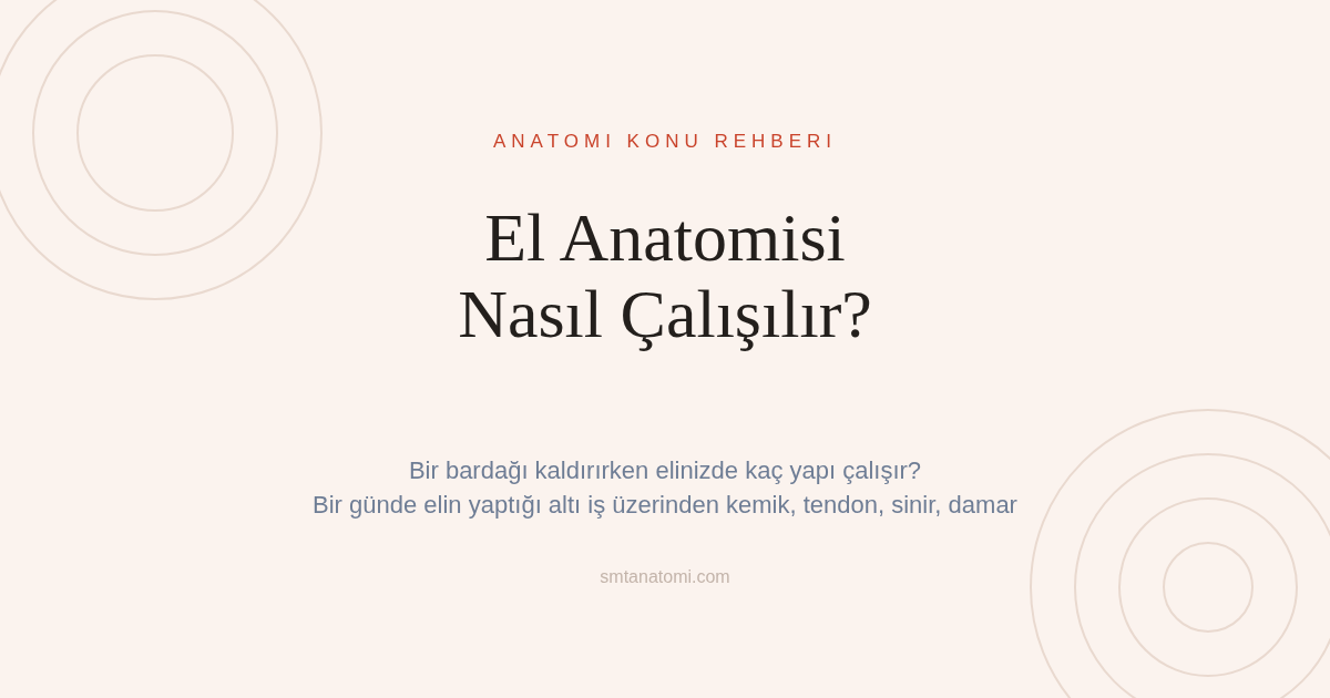 El Anatomisi Nasıl Çalışılır? Bir Günde Elin Yaptığı Altı İş