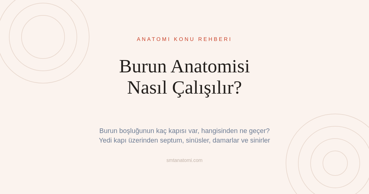 Burun Anatomisi Nasıl Çalışılır? Burun Boşluğunun Yedi Kapısı