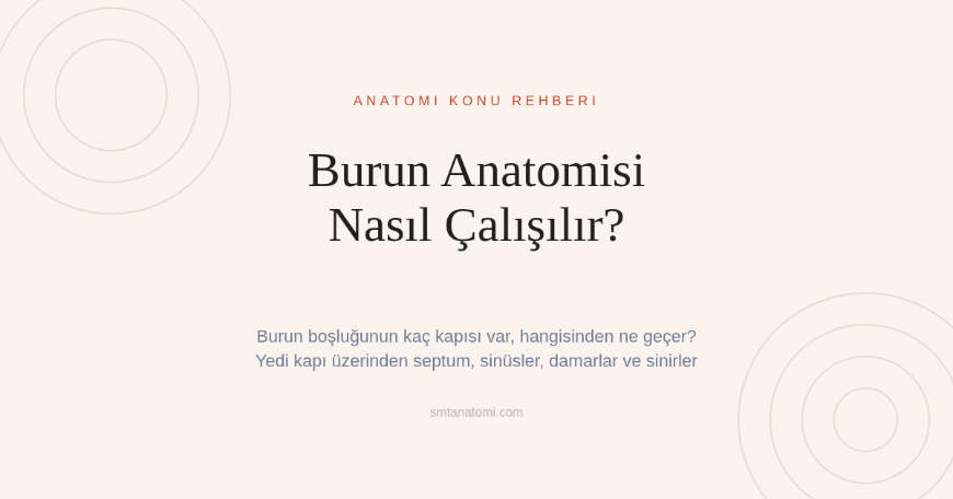 Burun Anatomisi Nasıl Çalışılır? Burun Boşluğunun Yedi Kapısı