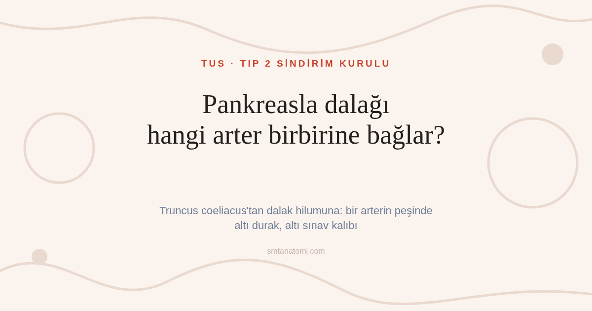 Pankreas ve Dalak Anatomisi Nasıl Çalışılır? A. Splenica'nın Peşinde Altı Durak