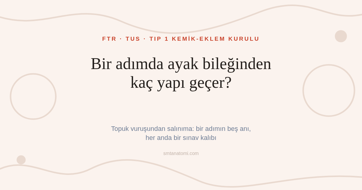 Ayak Bileği ve Ayak Anatomisi Nasıl Çalışılır? Bir Adımın Beş Anı