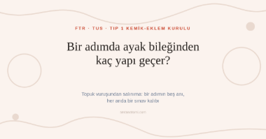 Ayak Bileği ve Ayak Anatomisi Nasıl Çalışılır? Bir Adımın Beş Anı