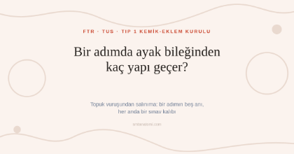 Ayak Bileği ve Ayak Anatomisi Nasıl Çalışılır? Bir Adımın Beş Anı