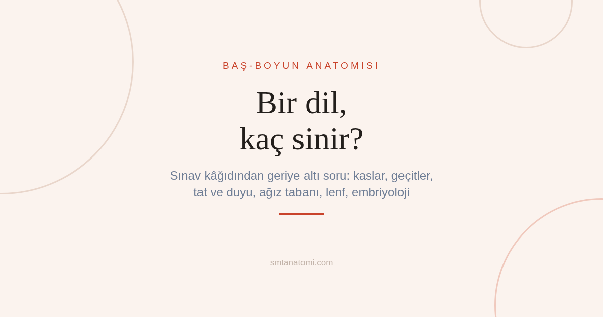 Dil Anatomisi Nasıl Çalışılır? Sınav Kâğıdından Geriye Altı Soru