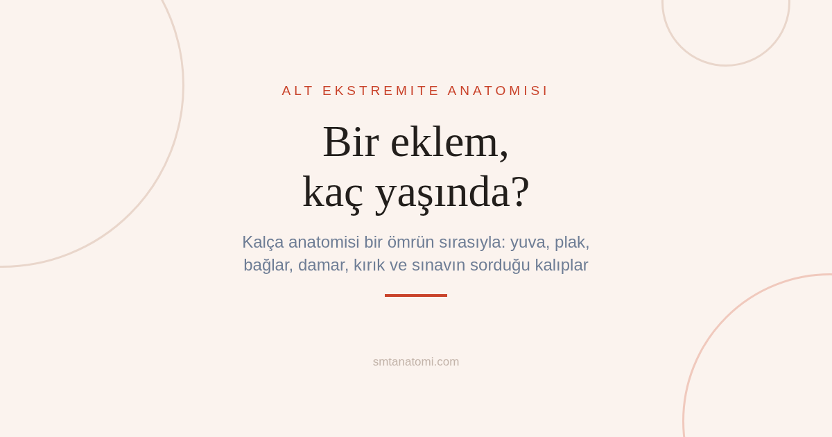 Kalça Anatomisi Nasıl Çalışılır? Bir Eklemin Ömrü Beş Yaşta